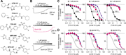 Evaluation of NAMs at NMDA receptor subtypes. (A) Chemical structures of NAMs, UCM-101, TCN-213, TCN-201, MPX-004, and MPX-007. (B) Representative two-electrode voltage-clamp recordings from recombinant GluN1/2A or GluN1/2B receptors activated by the indicated concentration of glycine in the continuous presence of 100 µM glutamate and inhibited by increasing concentrations of TCN-213 or UCM-101. (C) Concentration–response data for TCN-213, UCM-101, and TCN-201 at NMDA receptor subtypes activated by 1 µM glycine in the continuous presence of 100 µM glutamate. (D) Concentration–response data for TCN-213, UCM-101, and TCN-201 at NMDA receptor subtypes activated by a glycine concentration close to the glycine EC50 in the continuous presence of 100 µM glutamate (1 µM glycine for GluN1/2A, 0.3 µM for GluN1/2B and GluN1/2C, and 0.1 µM for GluN1/2D). A dashed line indicates data for GluN1/2A from (C). See Tables 1 and 2 for NAM IC50 and glycine EC50 values.