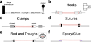 Considerations for sample attachment. (a) The force transmission chain from the motor to the transducer includes both the muscle sample and the attachments. (b–f) Commonly used methods for attaching muscle samples to force transducers and the length motor.