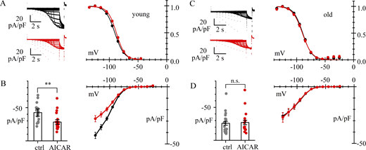Figure 7. Refer to the image caption for details.