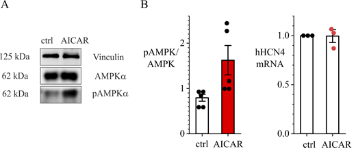 Figure S1. Refer to the image caption for details.
