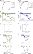 Inhibition of CaV3.2 by Z944 and ML218. (A) Representative traces for CaV3.2 ICa elicited by 200-ms test pulses from Vhold of −90 to −20 mV before and after exposure to Z944. (B) Time course of ICa treated with vehicle and increasing concentrations of Z944. ICanorm represents current amplitude normalized to that measured during vehicle application. Points represented mean ± SEM. (C) For data in B, the inhibition (%) of ICa was plotted as a function of Z944 concentration and fit by nonlinear regression. (D) Representative I–V relationship for ICa before and after exposure to Z944. ICa was evoked by 200-ms test pulses from −90 mV. (E) Boltzmann fits of I–V relationships of averaged data obtained as in D were normalized to the peak ICa. (F–J) Same as A–E but with ML218. Parentheses indicate numbers of cells.