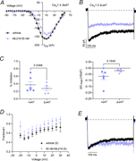 ML218 has similar effects on the CaV1.4 Δe47 variant that undergoes strong inactivation. (A and B) Representative I–V plots (A) and currents (B) for ICa evoked by 500-ms test pulses from Vhold of −90 mV before and after exposure to ML218 (50 nM). In A, smooth lines represent Boltzmann fits. In B, traces show effect of ML218 (50 nM) on current evoked by pulse to +10 mV. (C) Inhibition (%) and difference in Gmax (ΔGmax) caused by ML218 (50 nM). P values were determined by Mann–Whitney and unpaired t tests. (D) For data obtained as in A, fractional inactivation (fractional I) was measured as the amplitude of the current at the end of the pulse divided by the peak current amplitude and plotted against test voltage. (E) For currents in B, the trace obtained in the presence of ML218 was normalized to the trace for vehicle to illustrate the lack of effect of ML218 on enhancing inactivation.