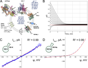A multi-panel image illustrates ion transport and pH regulation in lysosomes.