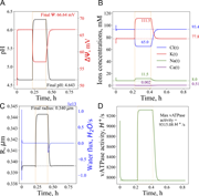 Multiple line graphs depict the effects of transient lysosomal membrane permeabilization on various parameters over time.