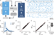 A figure showing the comparison of model-generated and experimental neural spiking patterns.