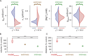 Violin plots and box plots showing changes in model parameters and their effects after serotonin application.