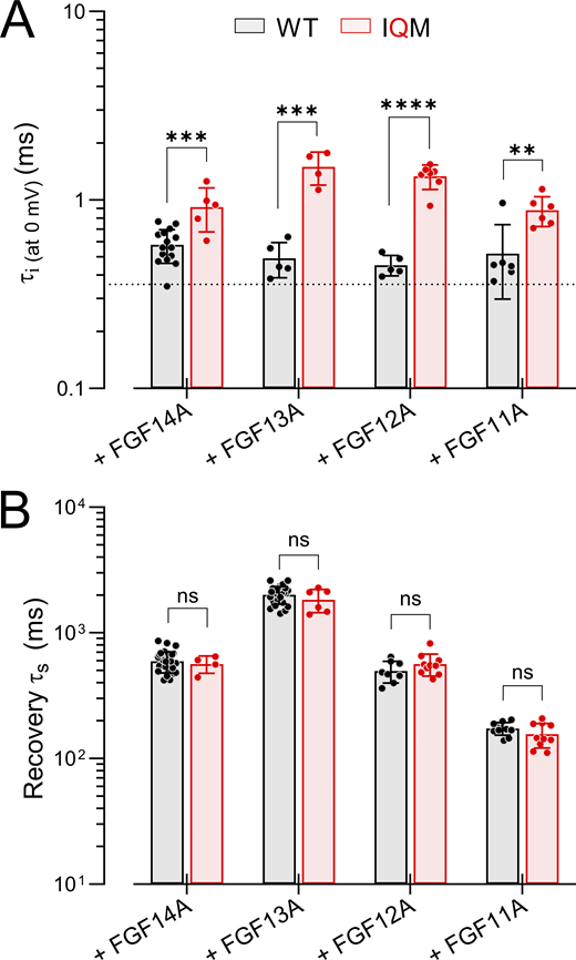Two bar graphs comparing the effects of different FGF-A isoforms on WT and IQM NaV1.2 inactivation onset and recovery.