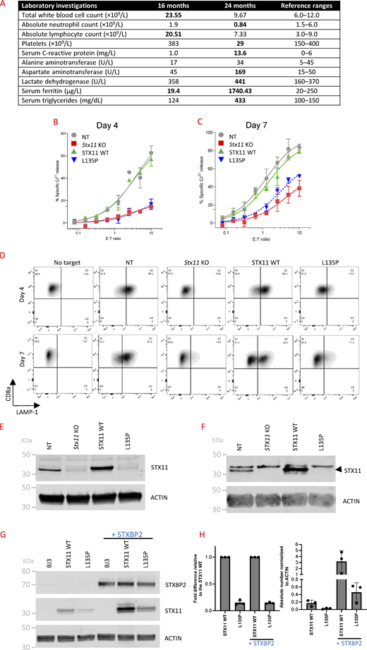 Figure 1. Refer to the image caption for details.