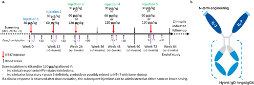 Timeline of expanded access protocol screening, NT-I7 dosing, and laboratory monitoring. (a) Timeline of expanded access protocol screening, NT-I7 dosing, and laboratory monitoring. (b) Structure of NT-I7 demonstrating N terminus human IL-7 fused to a hyFc long-acting platform that combines the hinge flexibility of IgD and recycling of IgG4 to minimize protein–protein interactions and increase serum half-life.