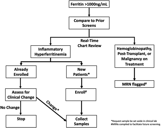 Steps in the hyperferritinemia screening protocol.