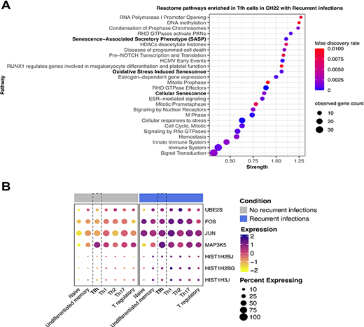 Differentially expressed modules within the Tfh cells. 2A) The Reactome modules are displayed comparing differentially expressed genes in Tfh in patient with recurrent infection vs. those without. We noted three senescence modules (bolded) and multiple RHO GTPase modules. 2B) We combined the three senescence modules and portrayed the expression according to whether the patients had a history of recurrent infections. In this dotplot, the highest expression levels were seen in the patients with recurrent infections across all T cell subsets.