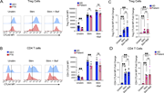 CTLA-4 Y218* mutation leads to reduced protein levels in primary patient cells. (A) Representative histograms of CTLA-4 mean fluorescence intensity (MFI) levels in Treg cells in one healthy donor and P16 with p.(Tyr218*) variant after 24 h of incubation in IL-2 media alone (Unstim), with stimulation (5 μg/ml plated anti-CD3 and 1 μg/ml soluble anti-CD28; Stim) or stimulation and Baf treatment (20 ng/ml; Stim + Baf); quantified MFI on the right using multiple Mann–Whitney tests (N = 3 independent repeats). (B) Representative histograms of CTLA-4 MFI in CD4 T cells of one healthy donor and P16 after 24 h of incubation in IL-2 media alone (Unstim), with stimulation (5 μg/ml plated anti-CD3 and 1 μg/ml soluble anti-CD28; Stim) or stimulation and Baf treatment (20 ng/ml; Stim + Baf); quantified MFI on the right using multiple Mann–Whitney tests (N = 3 independent repeats). (C) Quantified fold-change data from A, normalized to the unstimulated condition. Statistical significance calculated using Kruskal–Wallis test. (D) Quantified fold-change data from B, normalized to the unstimulated condition. Statistical significance calculated using Kruskal–Wallis test. (A–D)N = 3 independent experiments with eight healthy donor (HD) samples (eight individuals) and eight patient samples (five patients: P16, P17, P12, P13, and P2). P16 and P12 contributed longitudinal samples at multiple time points (red = P16; pink = P12), with only one sample per individual used in any single experiment. Each black dot represents a distinct healthy donor or patient sample. **P < 0.001. number represents fold change. ns: not significant.