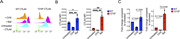 CTLA-4 Y218* mutation leads to protein instability. (A–C) (A) Representative histogram showing MFI of CTLA-4 levels in Jurkat cells with WT or Y218* CTLA-4 treated with CHX to block protein translation, Baf to block lysosome acidification, or untreated. Jurkat cells lacking CTLA-4 (−CTLA4) shown as negative control. MFI quantified in B, and fold change quantified in C; the y-axis in C shows fold change relative to the untreated condition. The mutant panel uses a different scale due to higher fold-change values compared to WT. Fold-change values in the statistical comparison bar represent relative differences between the indicated conditions; repeated measures one-way ANOVA test. N = 5 independent repeats. **P < 0.001, ***P < 0.001, and ****P < 0.0001; ns: not significant; number represents fold change.