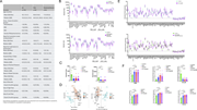 Clinical and immunophenotyping data for hospitalized patients compared to controls. (A) Clinical data from the “all hospital,” severe, and mild cohort. Data expressed as frequencies, mean (standard deviation), or mode (interquartile range; IQR). (B) Box and whisker plot for immune cell frequency in the hospitalized cohort as compared to healthy control patients (top) and hospitalized cohort as compared to healthy controls with patients receiving any steroids prior to blood draw were removed from the hospitalized cohort (bottom). Hypothesis testing was executed by the non-parametric Mann–Whitney U test. Upper and lower hinges of boxplots correspond to 25th and 75th percentiles and whiskers extend 1.5× IQR from the hinges. (C) Bar graph with scatter plot for pDCs in severe patients compared to mild, severe patients compared to control, and mild patients compared to control (left) and eosinophils in severe patients compared to mild, severe patients compared to control, and mild patients compared to control (right). Hypothesis testing was executed by the non-parametric Kruskal–Wallis Test. Upper and lower hinges correspond to 25th and 75th percentiles. Statistical significance is annotated on the graph with P values < 0.05. (D) Principle component analysis (PCA) of cytokine expression. Points are colored by sample group classification. Ellipses reflect a 95% confidence interval around the colored group centroid. PCA in severe, mild, and control patients (left). PCA in severe, mild, and control patients with patients receiving any steroids prior to blood draw were removed (right). (E) Box and whisker plot for cytokine expression in the hospitalized cohort as compared to healthy control patients (top) and hospitalized cohort as compared to healthy controls with patients receiving any steroids prior to blood draw removed from the hospitalized cohort (bottom). Hypothesis testing was executed by the non-parametric Mann–Whitney U test. Upper and lower hinges of boxplots correspond to 25th and 75th percentiles and whiskers extend 1.5× IQR from the hinges. (F) Bar graph with scatter plot for selected cytokine expression in severe patients compared to mild, severe patients compared to control, and mild patients compared to control. Hypothesis testing was executed by the non-parametric Kruskal–Wallis Test. Upper and lower hinges correspond to 25th and 75th percentiles. Statistical significance is annotated on the graph with P values <0.05. Naïve B, naïve B cells; Memory B, memory B cells; Total Mono, total monocytes; C. Mon, classical monocytes; I Mono, intermediate monocytes; N.C. Mono, non-classical monocytes; Total NK, total natural killer cells; Early NK, early natural killer cells; Late NK, late natural killer cells; pDC, plasmacytoid dendritic cells; mDC, mature dendtric cells; Cent. Mem., central memory; Eff. Mem., effector memory; MAIT, mucosal-associated invariant T cells; DN T cells, double-negative T cells.