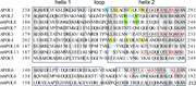 Table comparing amino acid sequences of A P O L proteins with highlighted regions and specific residues.