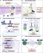 A multi-panel diagram illustrating mechanisms contributing to primary atopic disorders.