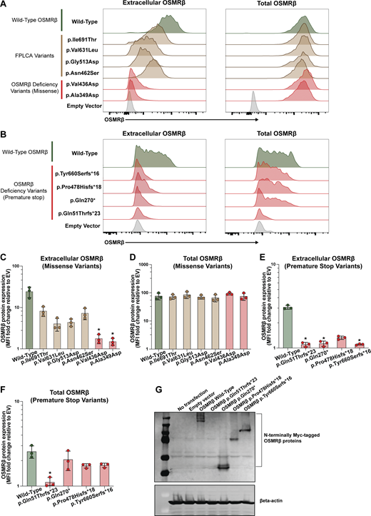 A multi-panel image analyzes the expression of OSMR variants in HEK293 cells.