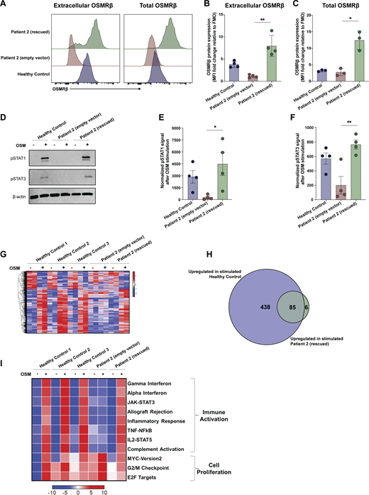 A multi-panel image depicts the expression and effects of OSMR in primary fibroblasts from a patient and healthy controls.