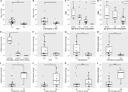 Multiple box plots compare age at onset, IgM and IgA levels, ADA2 activity, and various disease phenotypes.