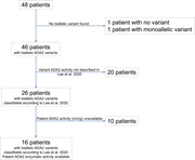 A flowchart illustrating the classification of patients based on ADA2 variants and their enzymatic activity.