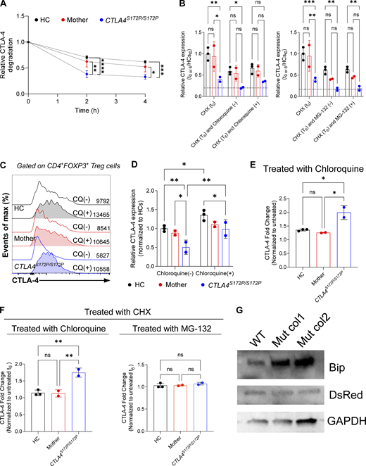 A multi-panel image depicts CTLA-4 degradation and expression.