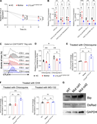 A multi-panel image depicts CTLA-4 degradation and expression.