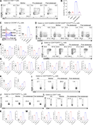 A multi-panel image depicts immune cell phenotypes in a CTLA4S172P/S172P patient before and after abatacept therapy.