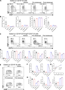 A multi-panel image depicts B cell phenotypes and their changes with abatacept treatment.