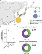 A multi-panel image depicts the distribution of families with IRAK4 deficiency, allele frequency, and clinical features.