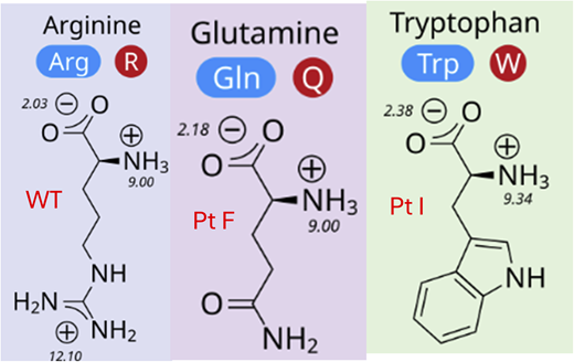 Figure 2. Refer to the image caption for details.