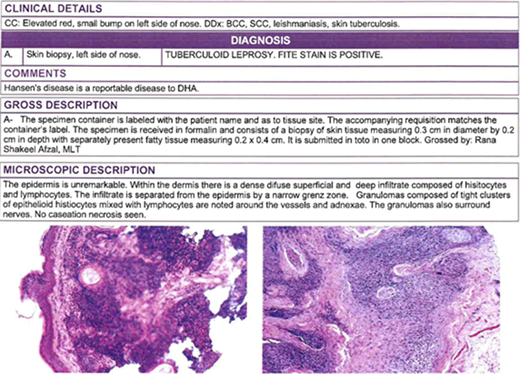 Figure 1. Refer to the image caption for details.