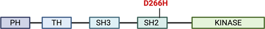 Figure 1. Refer to the image caption for details.