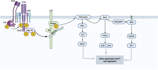 Figure 2. Refer to the image caption for details.