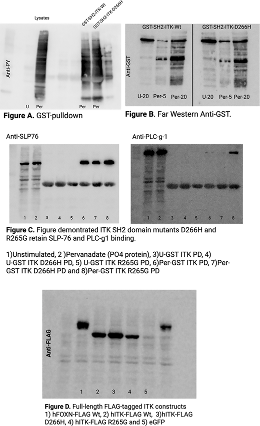 Figure 3. Refer to the image caption for details.