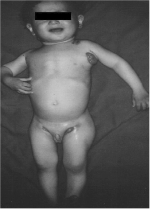 Figure 1. Refer to the image caption for details.