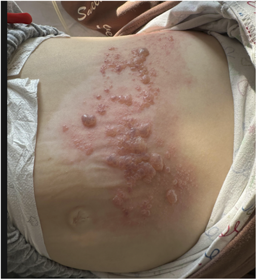 Figure 2. Refer to the image caption for details.