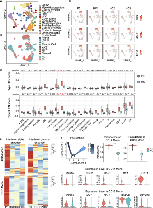 A multi-panel image depicts bone marrow hematopoietic cell analysis.